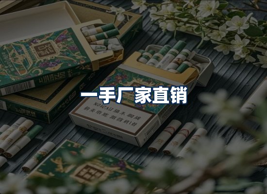 专业团队办公环境